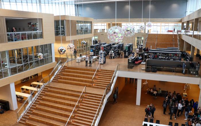 A.P. Møller Skolen i Slesvig blev indviet i 2008 og er gymnasie og fællesskole for det danske mindretal.