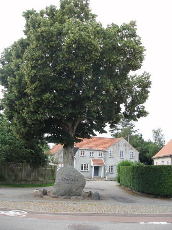 Viskinde anlæg Viskinde anlæg