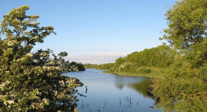 Den genskabte sø Oldenor. Foto fra 2017.