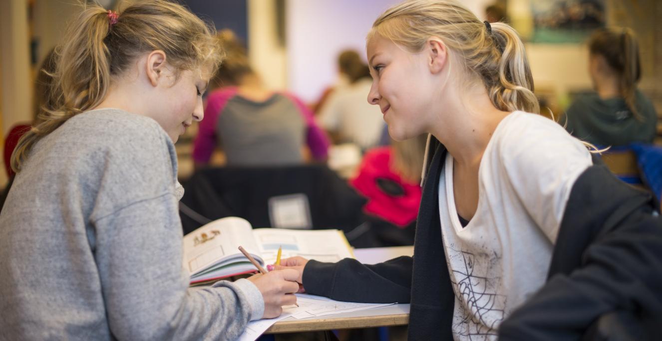 Elevudveksling er et tilbud til børn fra 4. - 9. klasse 