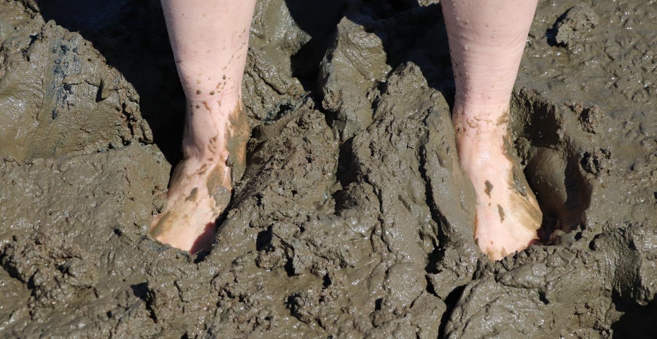 Enkelte havde sågar valgt at tage turen på vaden i bare fødder. 