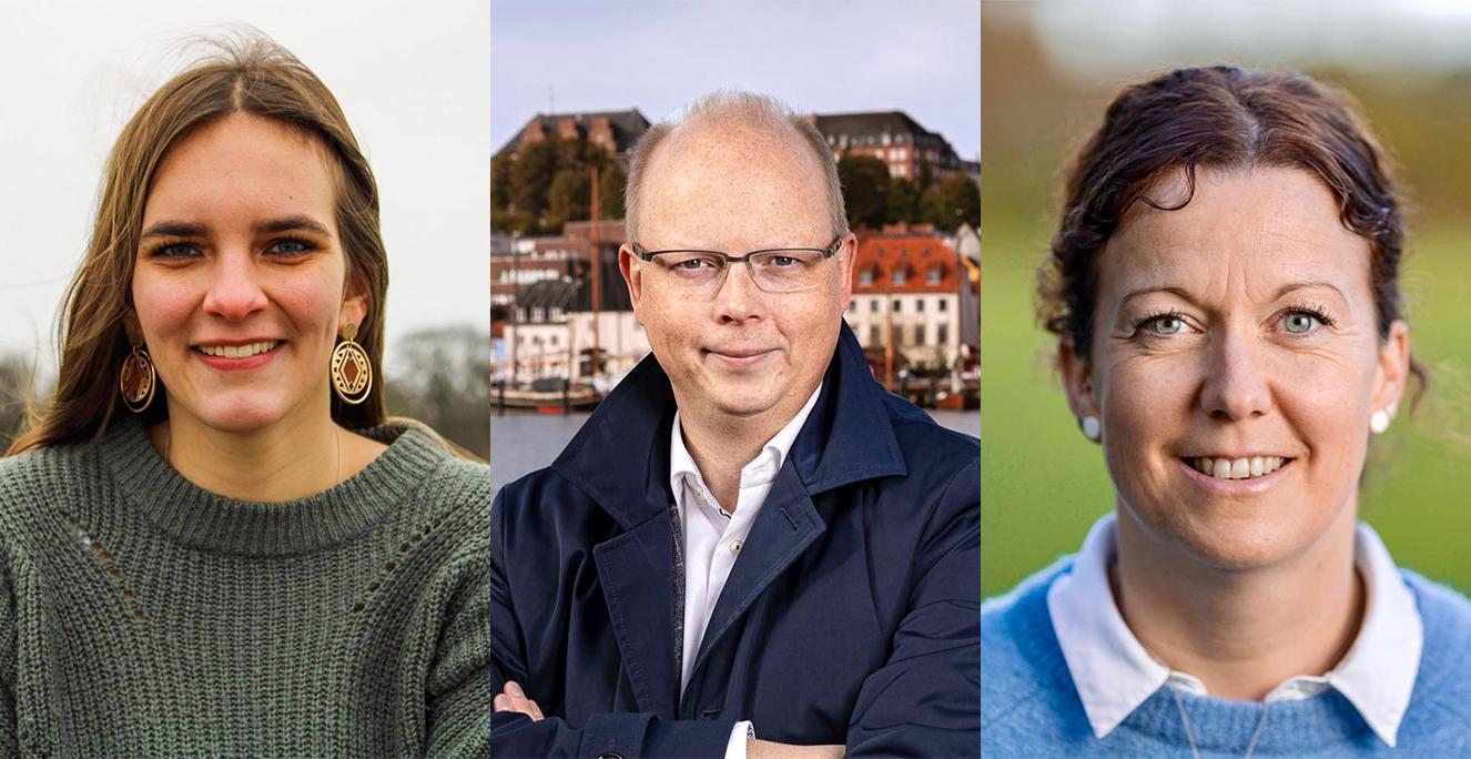 De tre kandidater til SSW-spidskandidatposten er: 20-årige Maylis Roßberg, statskundskabsstuderende på Christian-Albrechts-Universitetet i Kiel og formand for Sydslesvigsk Vælgerforening Ungdom (SSWU) siden september 2020, 41-årige Stefan Seidler, koordinator for samarbejdet mellem Danmark og Slesvig-Holsten for den slesvig-holstenske delstatsregering, og 40-årige Sybilla Nitsch, lærer på Husum Danske Skole, næstformand i SSW samt amtsformand i SSW Nordfriesland. De tre kandidater til SSW-spidskandidatposten er: 20-årige Maylis Roßberg, statskundskabsstuderende på Christian-Albrechts-Universitetet i Kiel og formand for Sydslesvigsk Vælgerforening Ungdom (SSWU) siden september 2020, 41-årige Stefan Seidler, koordinator for samarbejdet mellem Danmark og Slesvig-Holsten for den slesvig-holstenske delstatsregering, og 40-årige Sybilla Nitsch, lærer på Husum Danske Skole, næstformand i SSW samt amtsformand i SSW Nordfriesland.