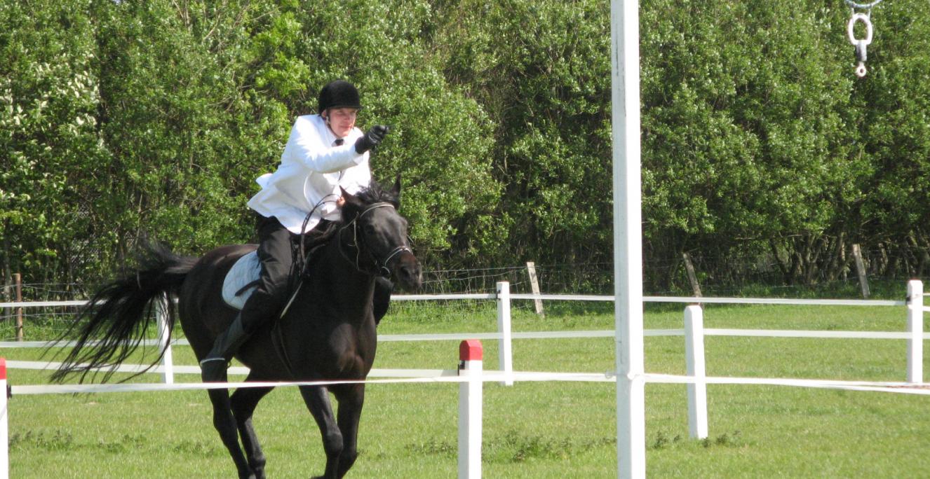 Ringridning i Slesvig-Holsten er blevet optaget på den tyske liste over immateriel kulturarv. Her ses en rytter ved et stævne i Epenwöhrden.  Ringridning i Slesvig-Holsten er blevet optaget på den tyske liste over immateriel kulturarv. Her ses en rytter ved et stævne i Epenwöhrden.