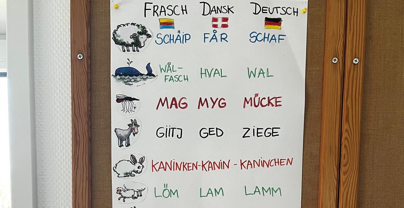På den dansk-frisiske skole Risum Skole/Risem Schölj i Nordfrisland bliver eleverne undervist i både tysk samt mindretalssprogene dansk og frisisk. På den dansk-frisiske skole Risum Skole/Risem Schölj i Nordfrisland bliver eleverne undervist i både tysk samt mindretalssprogene dansk og frisisk.