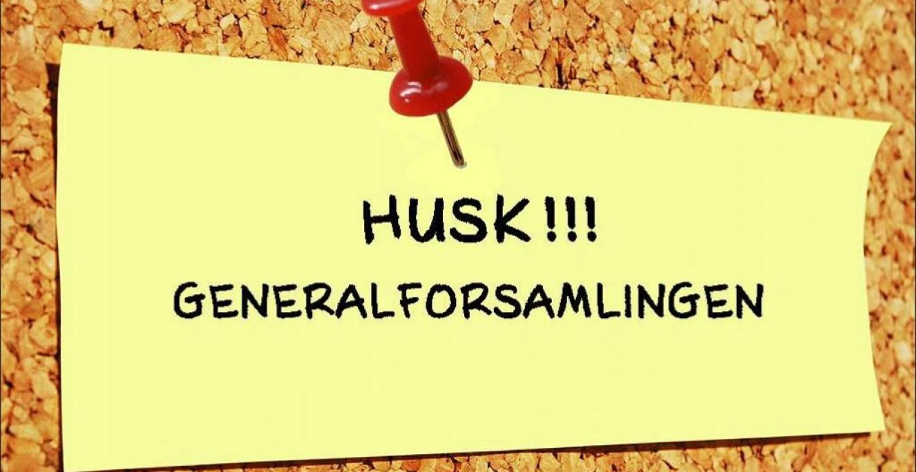 Generalforsamling Generalforsamling