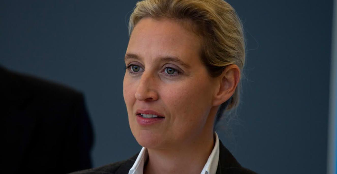 Alternative für Deutschland (AfD) ledes bl.a. af Alice Weidel. Alternative für Deutschland (AfD) ledes bl.a. af Alice Weidel.
