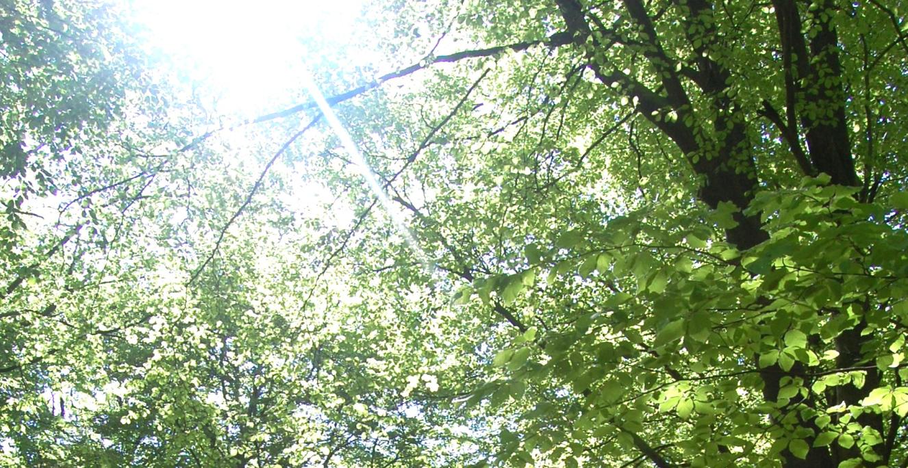 Tur i det blå - og grønne