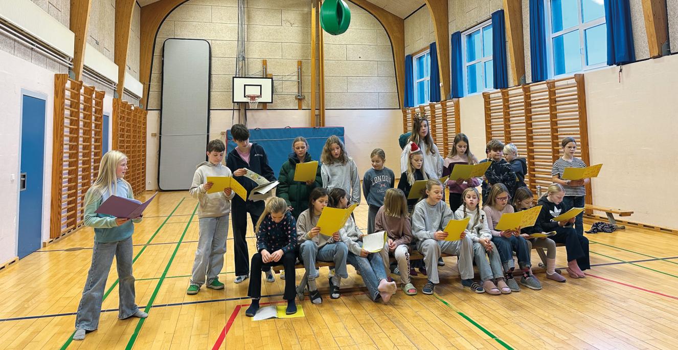 Gymnastiksalen på Hatlund Danske Skole.
