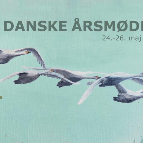 Den plakat, der er fremstillet i anledning af De Danske Årsmøder i Sydslesvig, der finder sted den 24. til 26. maj 2019, forestiller de fem nordiske svaner. En ruin af murværk skal illustrere Dannevirke, der i 2018 kom på UNESCOs Verdensarvsliste sammen med Hedeby. Årsmødeplakaten er fremstillet af billedkunstneren Inka Sigel. 