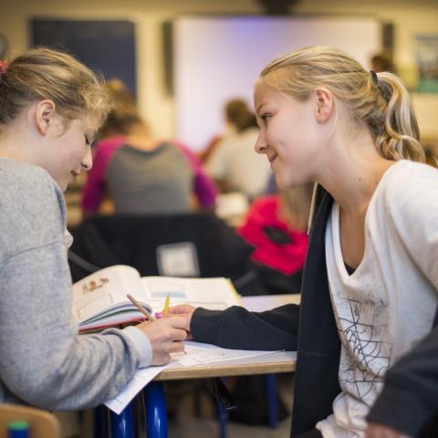 Elevudveksling er et tilbud til børn fra 4. - 9. klasse 