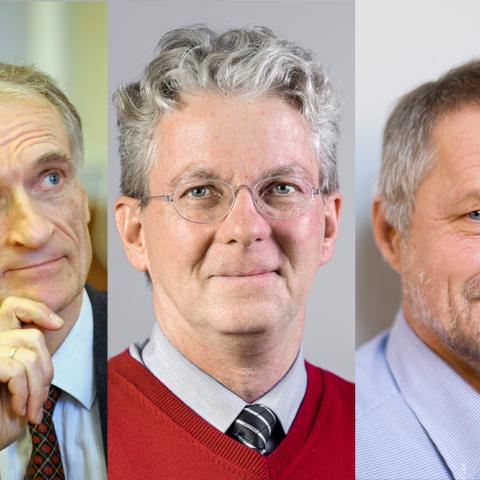 Magasin Grænsen har stillet Bertel Haarder, Christian Jürgensen og Flemming Meyer spørgsmålet 'Har du et genforeningshåb, når det gælder Sydslesvigs genforening med Danmark?'