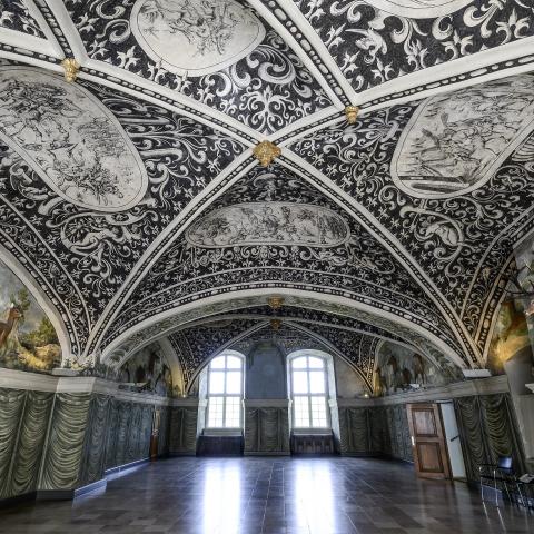 Gottorp Slot, der ligger ved Slien, hører til blandt de mere kendte steder i Sydslesvig, der præsenteres i bogen. Fyrsteslægten Gottorp var i hovedparten af sin levetid fra midten af det 16. til det 18. århundrede underlagt den danske krone. Her ses slottets festsal fra renæssancen, Hjortesalen, der er udført med hjorte i stuk og i loftets fresker. 