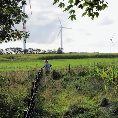 Hele vejen langs den dansk-tyske grænse markerer vildsvinehegnet grænsens forløb. Her er det Jesper Nielsen, der er  på jagt efter grænsesten. 