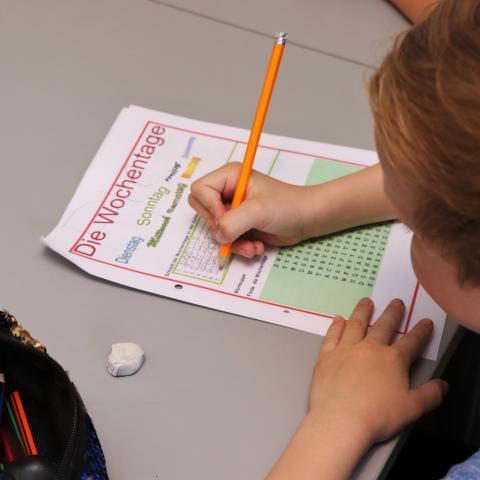 Tyske tilflyttere i Sønderjylland betyder flere elever på de tyske mindretalsskoler.