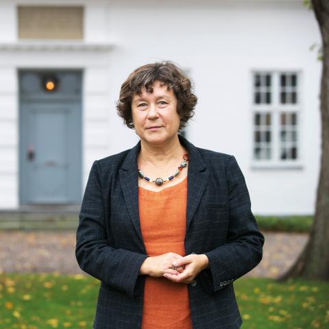 Mange familier har erindringer. Mindretallene bærer på erindringer om stærke spændinger og til en vis grad overgreb, siger biskop Marianne Christiansen.