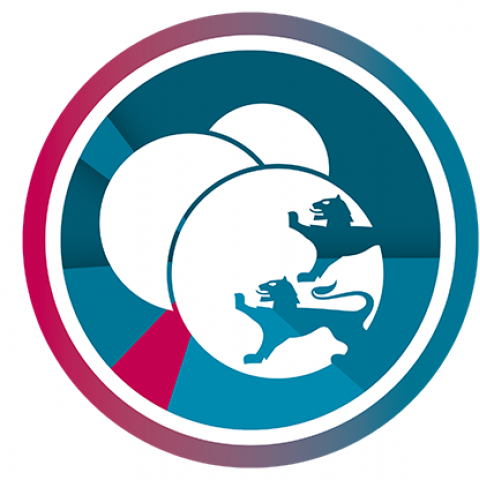 Sydslesvigs danske Ungdomsforeninger (SdU) er en paraplyorganisation for sydslesvigske idræts- og fritidsforeninger. 