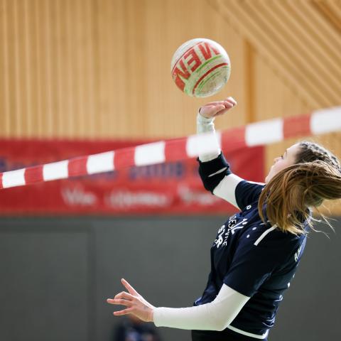 Der er første gang, at der skal spilles en faustball-slutrunde på dansk grund.