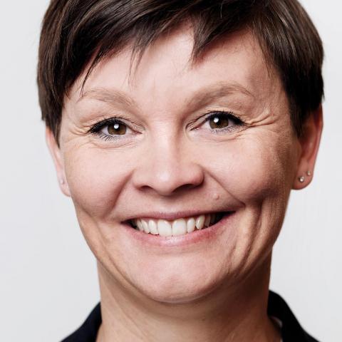 Hanne Sundin er direktør i Grænseforeningen. Hanne Sundin er direktør i Grænseforeningen.