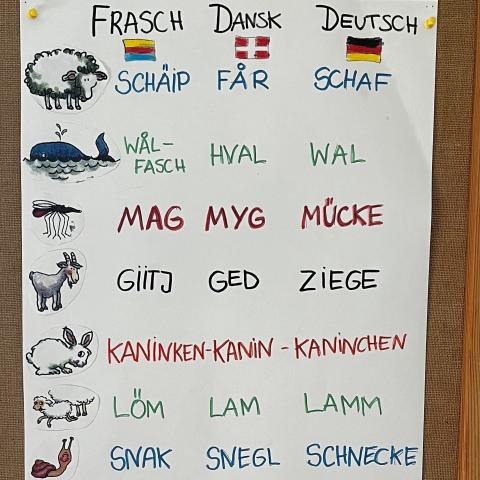 På den dansk-frisiske skole Risum Skole/Risem Schölj i Nordfrisland bliver eleverne undervist i både tysk samt mindretalssprogene dansk og frisisk. På den dansk-frisiske skole Risum Skole/Risem Schölj i Nordfrisland bliver eleverne undervist i både tysk samt mindretalssprogene dansk og frisisk.