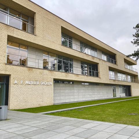 A.P. Møller Skolen i Slesvig huser en fællesskoleafdeling (7. til 10. klasse) og en gymnasieafdeling (11. til 13. klasse). Det er således muligt at afslutte sin skolegang efter hhv. 9., 10. og 13. årgang. 