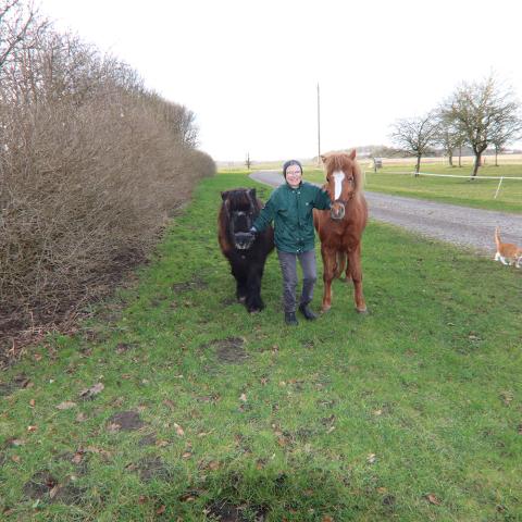 Marie Stamp er formand for Grænseforeningens lokalforening i Tønder.