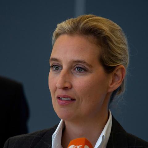 Alternative für Deutschland (AfD) ledes bl.a. af Alice Weidel.