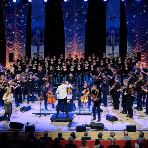 folkBALTICA er et orkester med musikere fra begge sider fra den dansk-tyske grænse. Til Sendemandsmødet optræder et udvalg af ensemblets medlemmer.