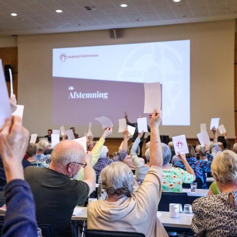 Grænseforeningens Sendemandsmøde 2025 bød på flere afstemninger - herunder om en ny strategi.