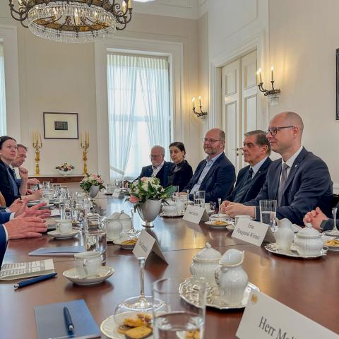 Repræsentanter fra Tysklands fire nationale mindretal var fredag på besøg hos forbundspræsident Frank-Walter Steinmeier i Berlin.