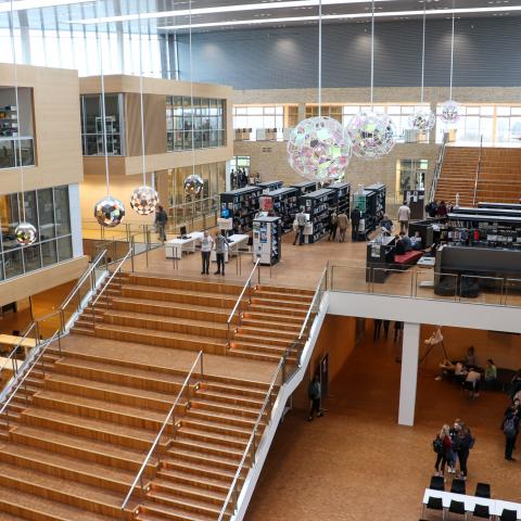 A.P. Møller Skolen i Slesvig blev indviet i 2008 og er gymnasie og fællesskole for det danske mindretal.
