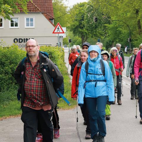 Pilgrimsvandringen fra Hedeby til Ribe havde navnet 'Ansgar-Caminoen' og varede fra den 12.-23. maj.
