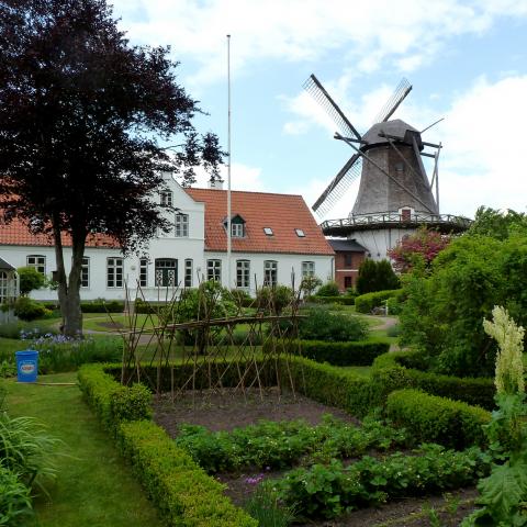 I Højer rager den gamle vindmølle i hollænderstil op i det flade marsklandskab. Den blev bygget i 1857 og er den højeste af sin art i Nordeuropa. Sammen med byens andre velbevarede bygninger fortæller den om liv og levned i Tøndermarsken gennem tiden. 