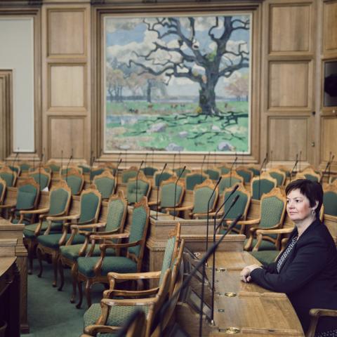 Anni Matthiesen mener, at der må værnes om kontakten mellem centrum og periferi i Danmark. Hun er en forkæmper for landdistrikterne og yderområderne, der for hende også tæller områderne i Rigsfællesskabet og Sydslesvig. Hun sidder både i Folketingets Grønlandsudvalg og Udvalget for Landdistrikter og Øer.