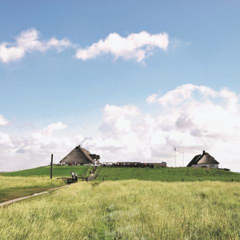 Hamborg Hallig er en lille ø i Vadehavet og er én af mange spændende feriemål i Sydslesvig. 