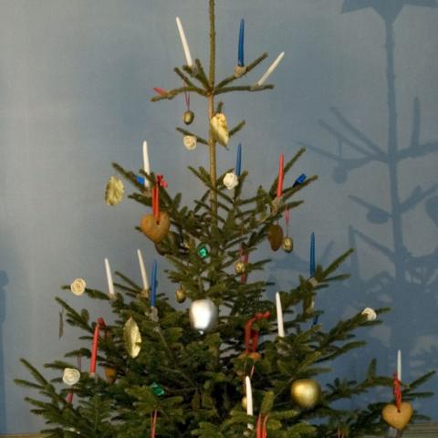 I Den Gamle By kan man se kopier af flere historiske juletræer, herunder familien Lehmanns fra 1811 (tv.) og Peter Fabers fra 1848 (th.), det år, han skrev ”Højt fra træets grønne top” og ”Den tapre Landsoldat”. Samme år vandt Dannebrog frem på de danske juletræer. 