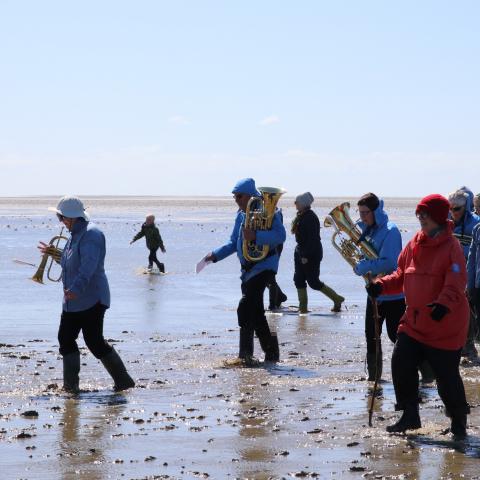 Solen skinnede og humøret var højt den 11. maj, da Tønder-orkestret FDF Brass Band spillede tidevandet ind, mens de 350 deltagere gik gennem vandet og sang.