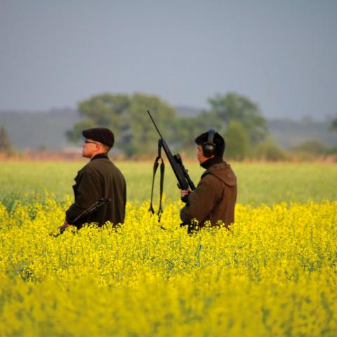 Elever ved Efterskolen Flyvesandet på bukkejagt. Skolen har fokus på friluftsliv, mad og kultur. 