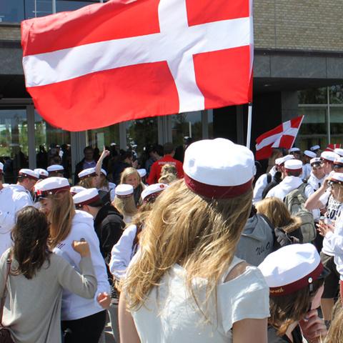 A.P. Møller Skolen i Slesvig har indført en sprogpolitik. Hvis eleverne taler tysk, bliver de bedt om at slå over i dansk. Dog ikke i de timer, hvor der står tysk på skoleskemaet.