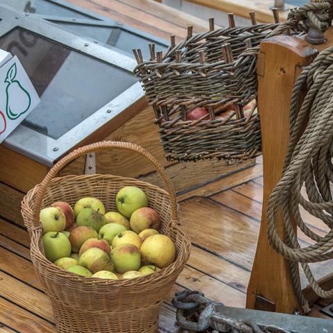 ”Grænseløse oplevelser – dansk-tysk æblesejlads på Flensborg Fjord” støttes af KursKultur, der er et EU-støttet paraplyprojekt for Region Sønderjylland-Schleswig samt af det danske kulturministerium og Ministerium für Justiz, Kultur und Europa des Landes Schleswig-Holstein. Projektet finansieres af midler fra Den Europæiske Fond for Regionaludvikling. 