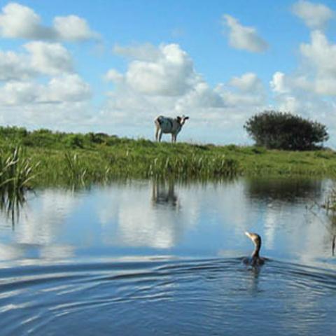 Sønderå syd for Tønder. 