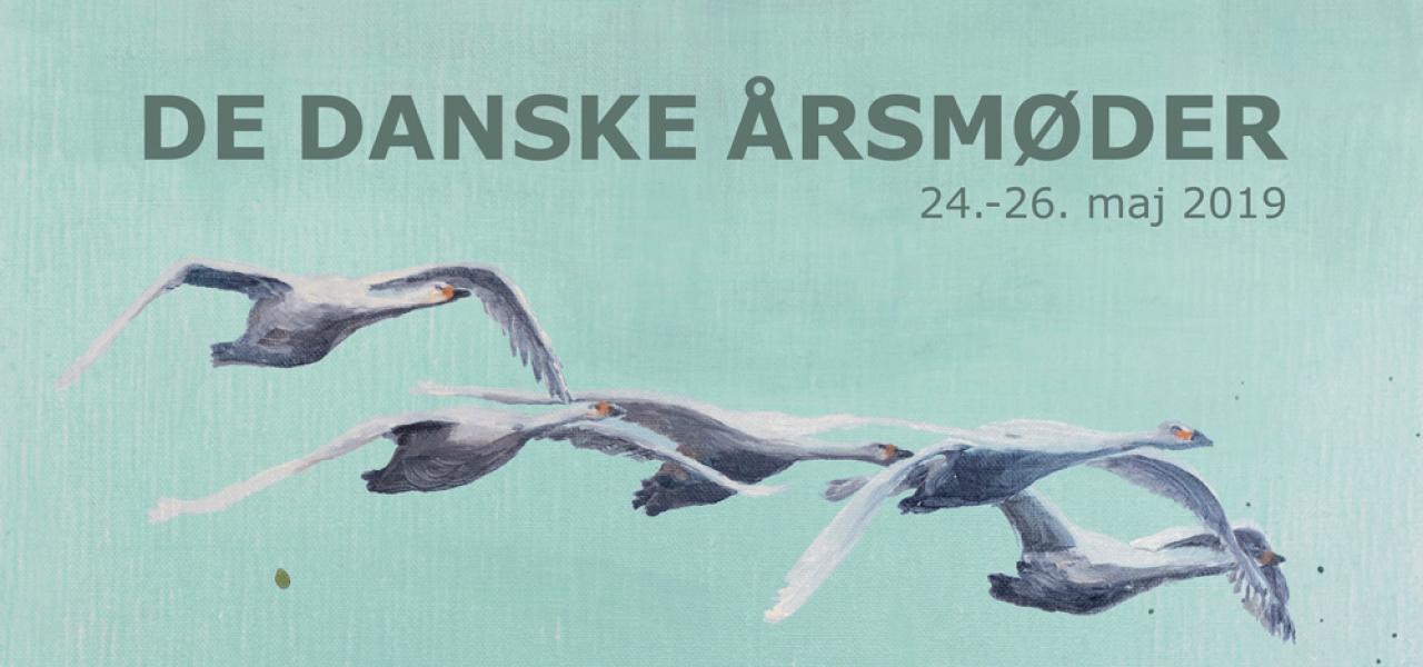 Den plakat, der er fremstillet i anledning af De Danske Årsmøder i Sydslesvig, der finder sted den 24. til 26. maj 2019, forestiller de fem nordiske svaner. En ruin af murværk skal illustrere Dannevirke, der i 2018 kom på UNESCOs Verdensarvsliste sammen med Hedeby. Årsmødeplakaten er fremstillet af billedkunstneren Inka Sigel. 