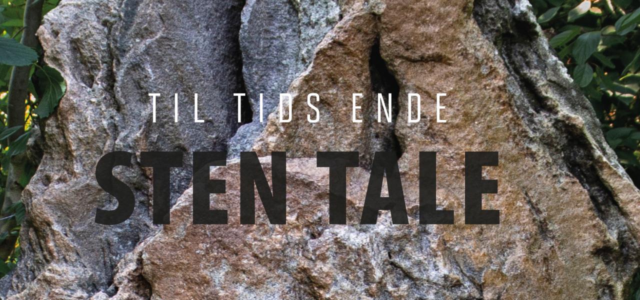 ‘Til Tids Ende Sten Tale. En dokumentation i tekst og billeder om mindesmærkerne for Genforeningen’. Af fotograf Margrethe S. Petersen, 408 sider, 365 kr. Kan købes på www.graenseforeningen.dk/webshop.