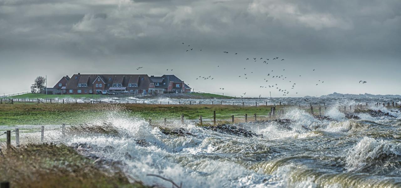Halligerne bliver oversvømmet ved stormfloder. Her ses en begyndende oversvømmelse af halligen Langeness.