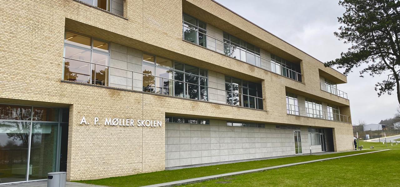 A.P. Møller Skolen i Slesvig huser en fællesskoleafdeling (7. til 10. klasse) og en gymnasieafdeling (11. til 13. klasse). Det er således muligt at afslutte sin skolegang efter hhv. 9., 10. og 13. årgang. 