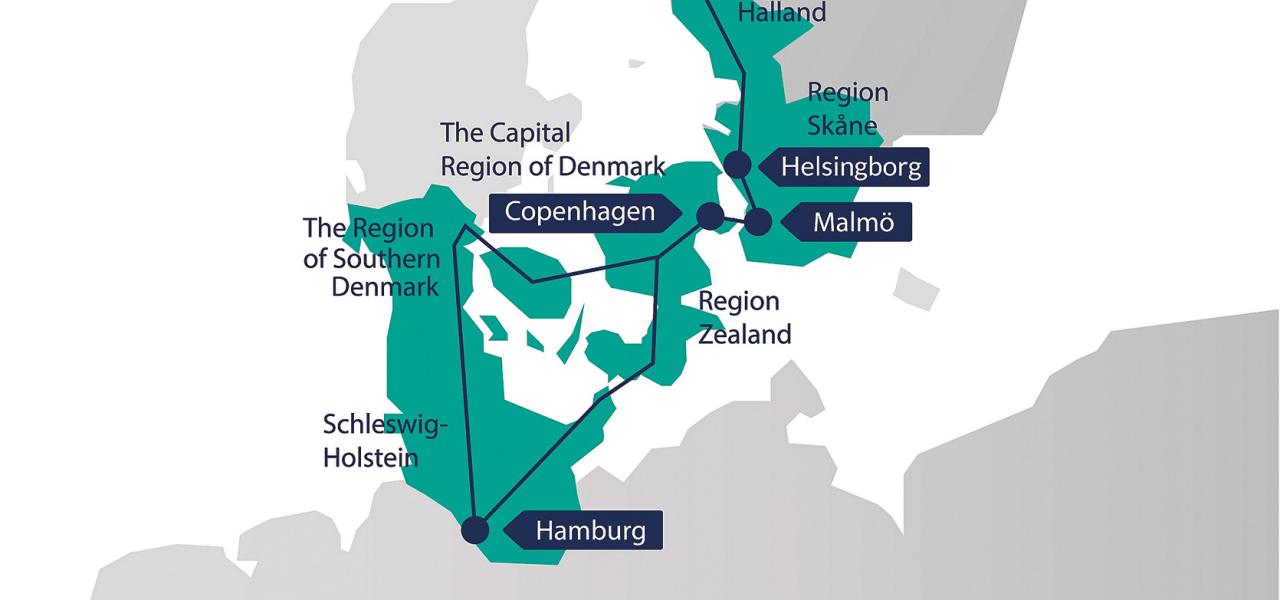 STRING er en politisk netværksorganisation, som strækker sig fra Hamborg og Slesvig-Holsten, over Hovedstadsområdet og København, Malmø, Skåne og til Akershus og Østfold i Norge. STRINGs vision er at skabe samlet grøn vækst i kølvandet af den nye infrastruktur, som er tilknyttet Femern-tunnelen. Fokus er på infrastruktur, grøn vækst, udvikling, turisme, kultur og bosættelse på tværs af grænser.
