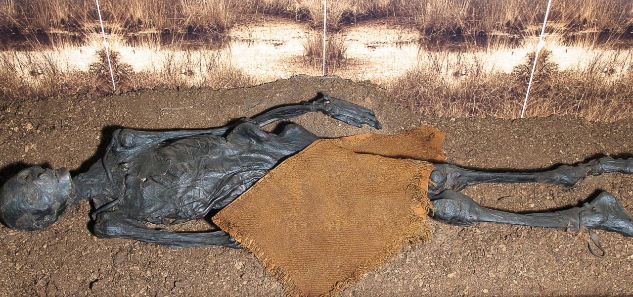 Moseliget her er fundet i Rendswühren mellem Kiel og Lübeck.