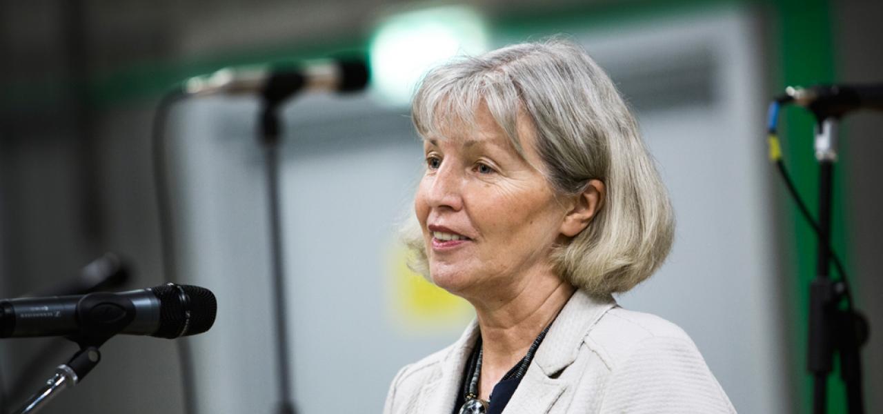 Renate Schnack efterlyser en sprogpolitik fra dansk side for det tyske mindretal i Danmark. Der bor omkring 15.000 tysksindede i Sønderjylland. Renate Schnack efterlyser en sprogpolitik fra dansk side for det tyske mindretal i Danmark. Der bor omkring 15.000 tysksindede i Sønderjylland.