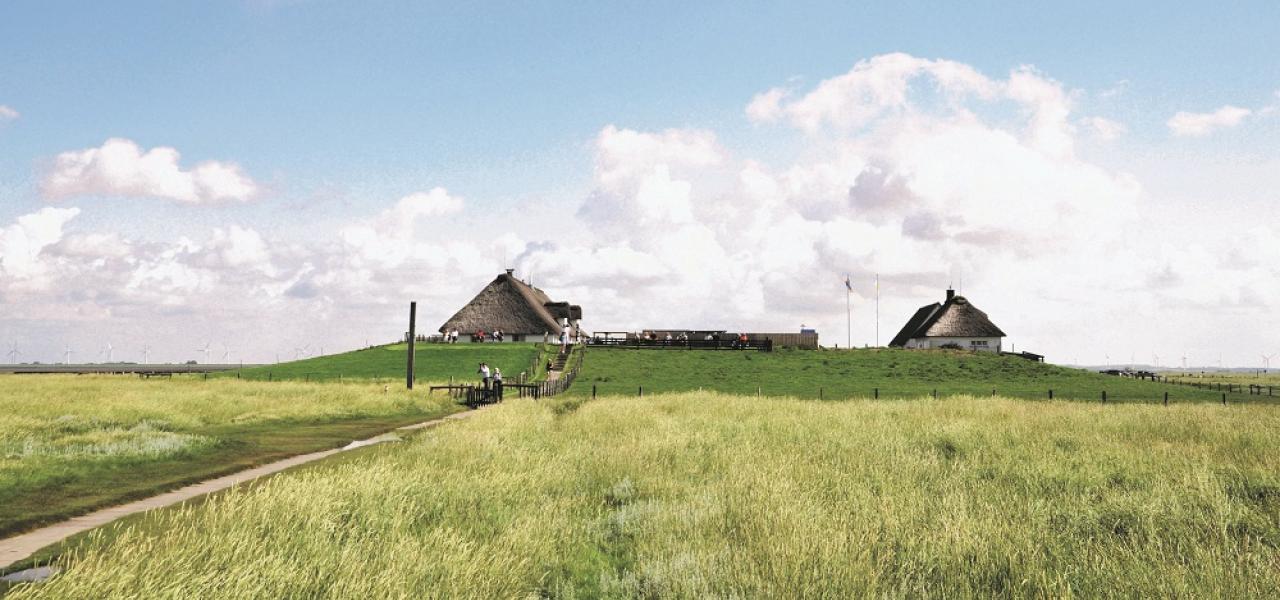 Hamborg Hallig er en lille ø i Vadehavet og er én af mange spændende feriemål i Sydslesvig. 