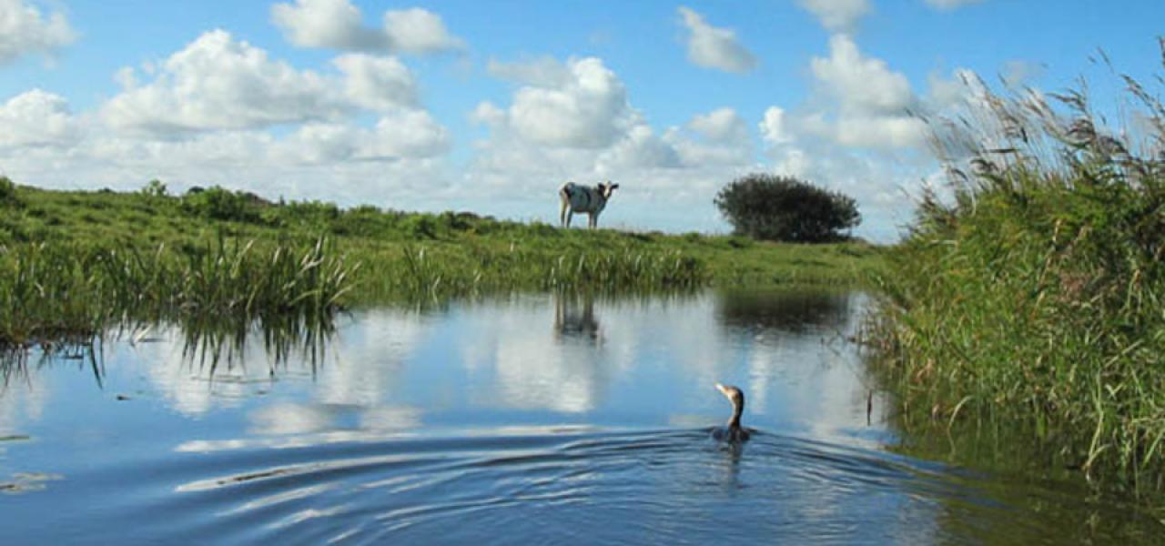Sønderå syd for Tønder. 