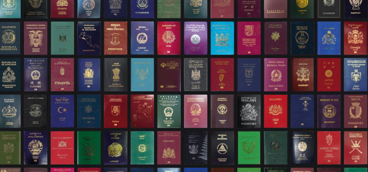 Salg af pas til rige mennesker er et hurtigt voksende, globalt fænomen, vurderer Den Internationale Valutafond.